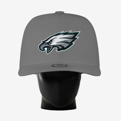 Philadelphia Eagles Noggin Boss Unisex Big Hat - Gray